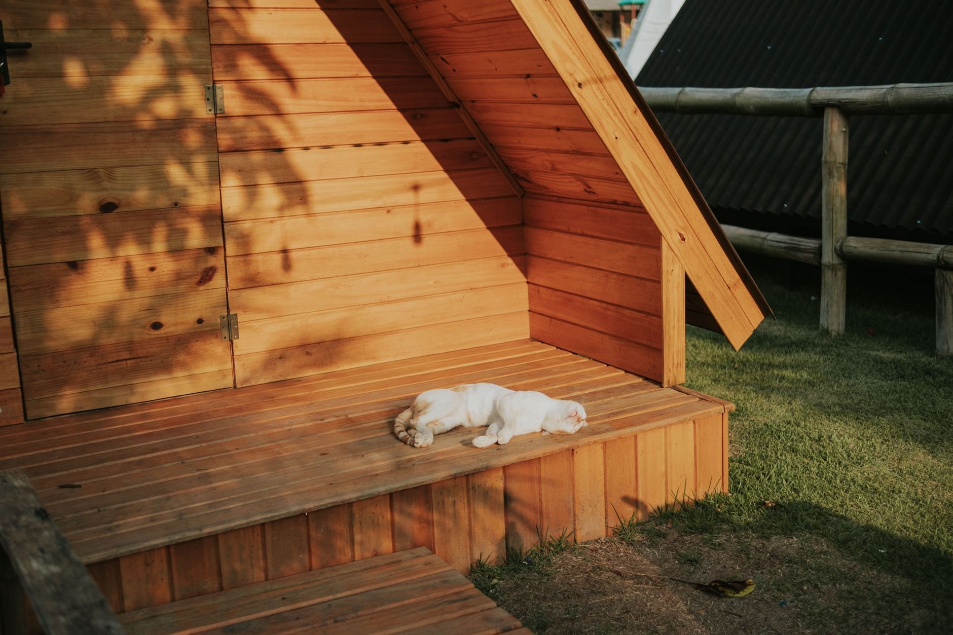 Peaceful scene of a dog sleeping on a wooden cabin porch in warm sunlight